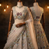 Exceptional Embroidered Net Lehenga