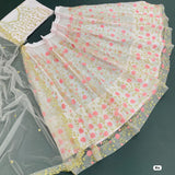 Butterfly Net Lehenga Choli