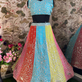 Charming Heavy Lehenga Choli