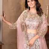 Emblished Net Heavy Lehenga Choli