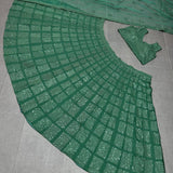 Green Full Sequnce  Lehenga