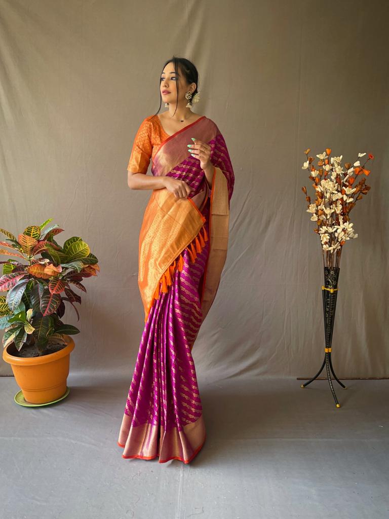 Banarasi Beautiful Patola Sarees