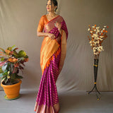 Banarasi Beautiful Patola Sarees