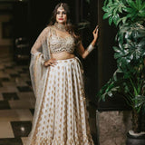 Partywear Banarasi Jacquard lahenga