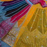 Beautiful Multicolored Lehenga Choli