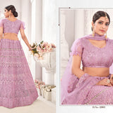 Bridal Net Lahengha Choli