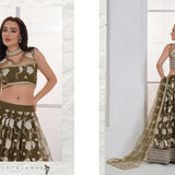 Mrudangi Net Emboridered Lehenga