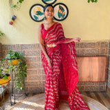 Presenting You Most Beautiful  Seqwance Saree