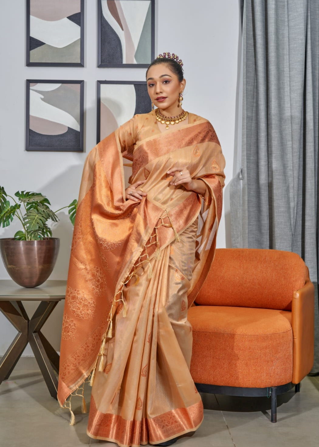 PURE TISSUE SILK SAREE