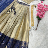 Exclusive Traditional Silk Lehenga