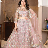 Emblished Net Heavy Lehenga Choli