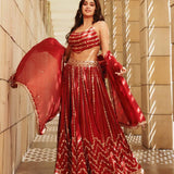 Beautifull Bollywood Lehenga Choli