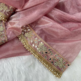 Bollywood Beautifull Tissu Silk Saree