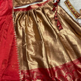 Exclusive Traditional Lehenga Saree