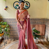 Premium chinon with seqwance work saree