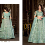 Exclusive net lahenga choli