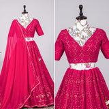 Lucknowi sequins work Lehenga choli