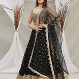 Black Georgette Lehenga Choli