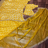 Dola Silk Lehenga Collection