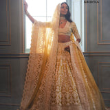 Heavy Bridal Net Lehenga Choli