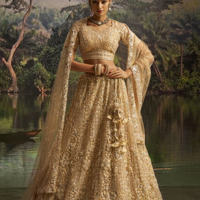 Grand Wedding Embroidered Lehenga Choli