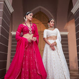 simple elegant Lehenga choli