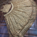 Presenting Latest Heavy Sequins Work Lehenga