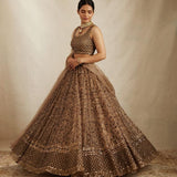 Presenting Latest Heavy Sequins Work Lehenga