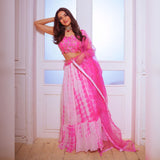 Bollywood Partywear Lehenga Choli