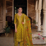 Gorgeous Soft Organza Silk Suit