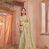 Summer Silver Net Saree