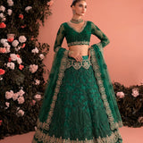 Stunning Bridal Net Embroidered Lehenga