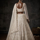Royal Look Embroidered Lehenga