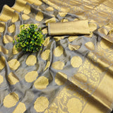 Pure Organza Silk Saree