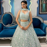 Heavy Net Lehenga Choli