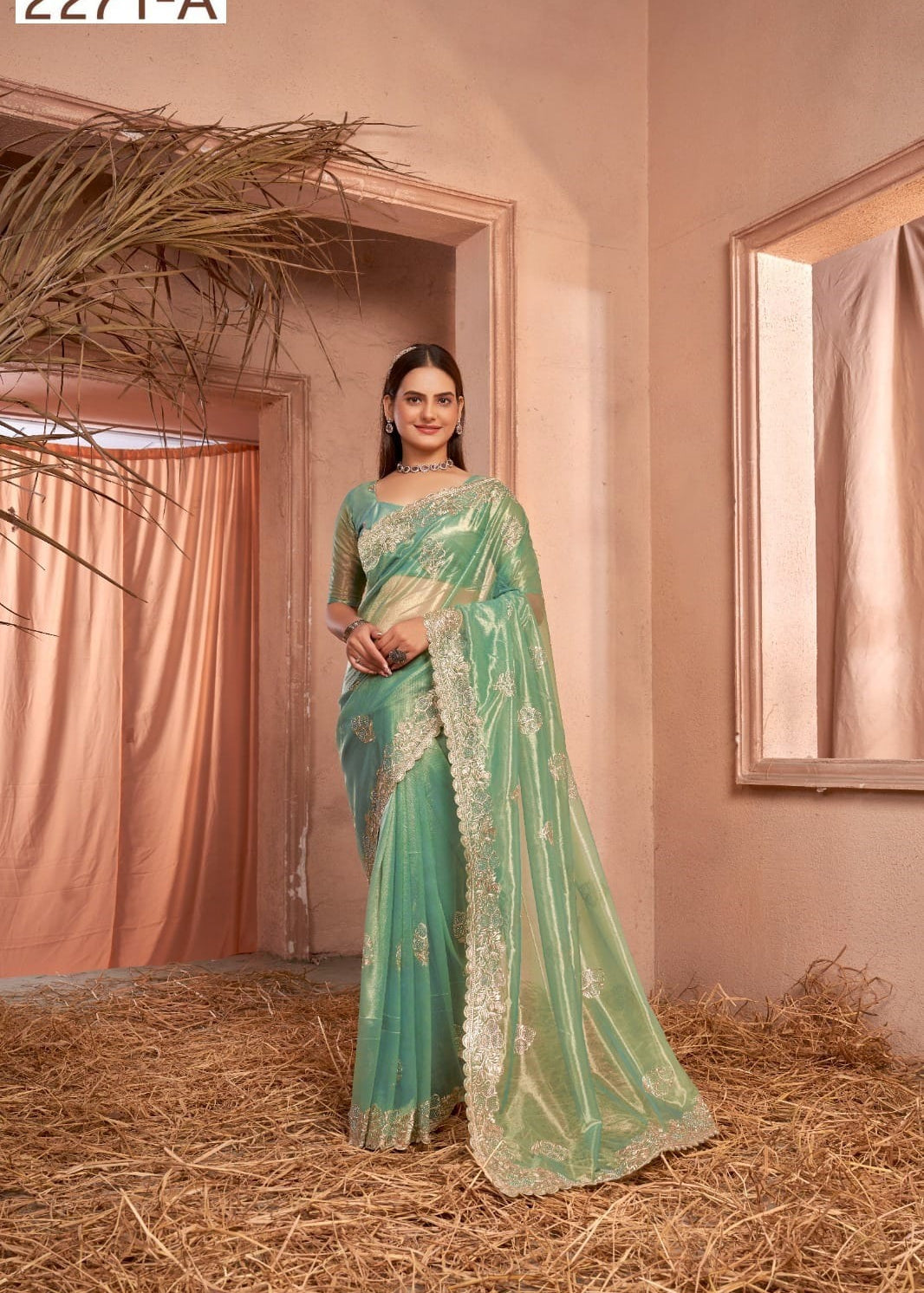 Summer Silver Net Saree