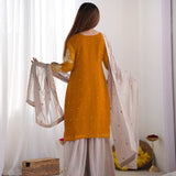 plus size salwar sarara suit